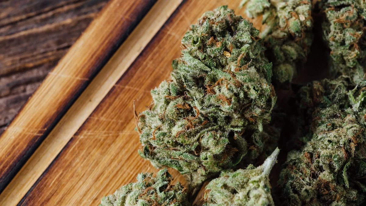 Aurora Cannabis оголосила про генетичний прорив — в Канаді випустять сорти конопель, стійкі до мучнистої роси.