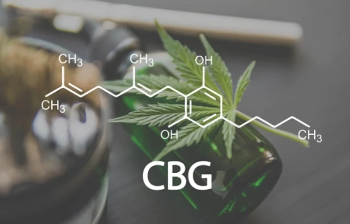 Дослідження показує, що CBG є ефективним маркером виявлення вживання