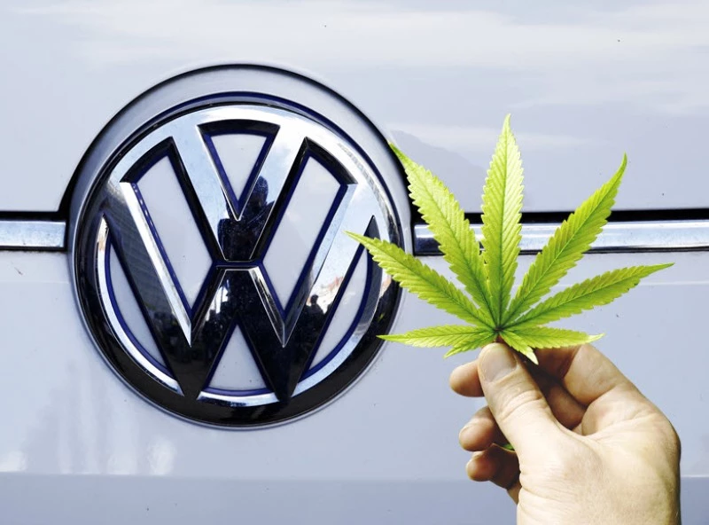 Нова шкіра від Volkswagen на 100% екологічній основі