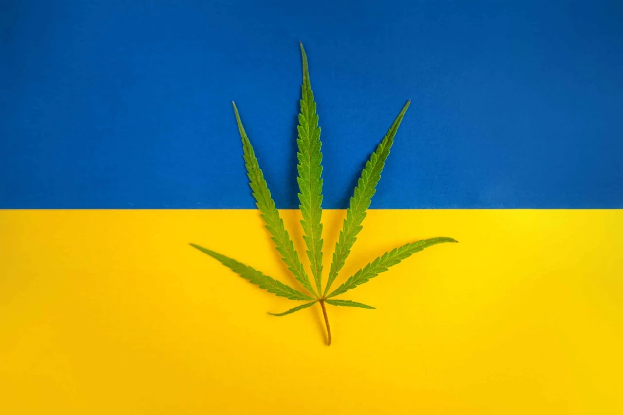 Профільний комітет рекомендував ухвалити законопроєкт про медичний канабіс у другому читанні