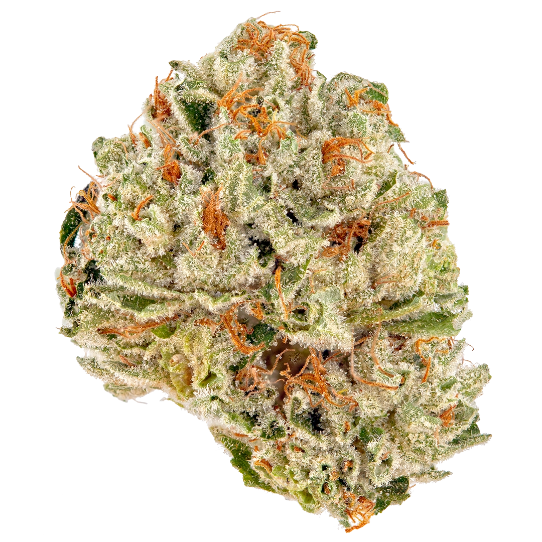 Amnesia OG