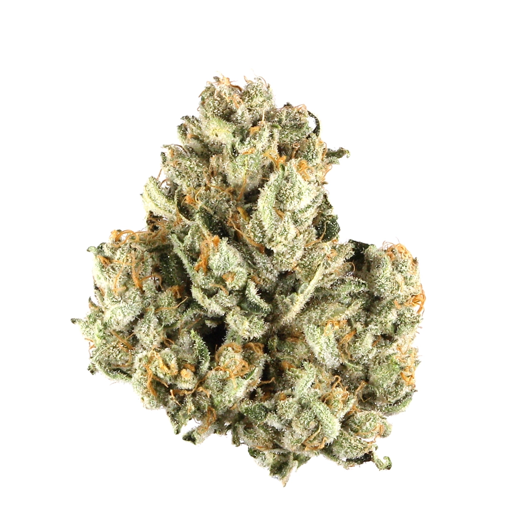 Berner's Cookies