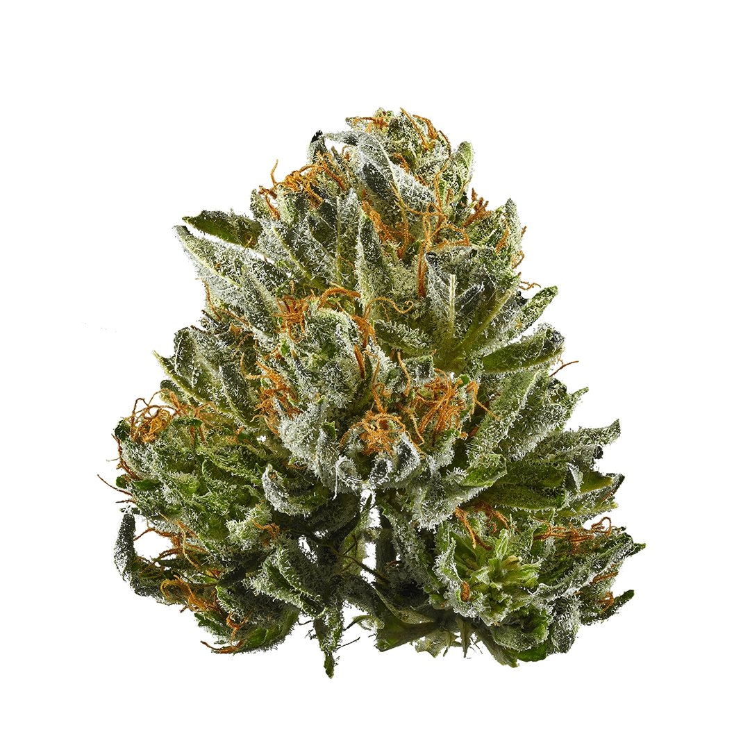 Black Afghan