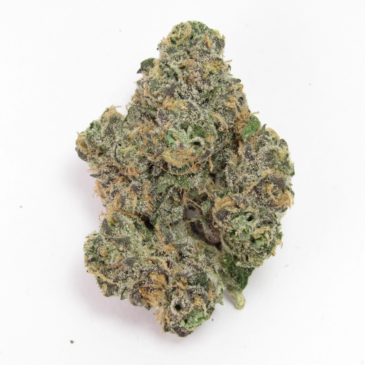 Blackberry Gary