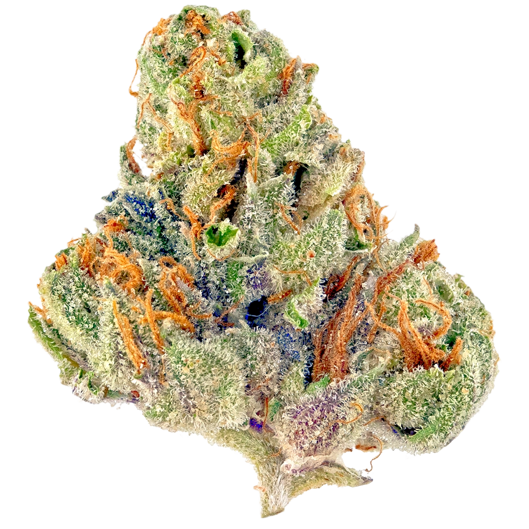 Bubble Gum