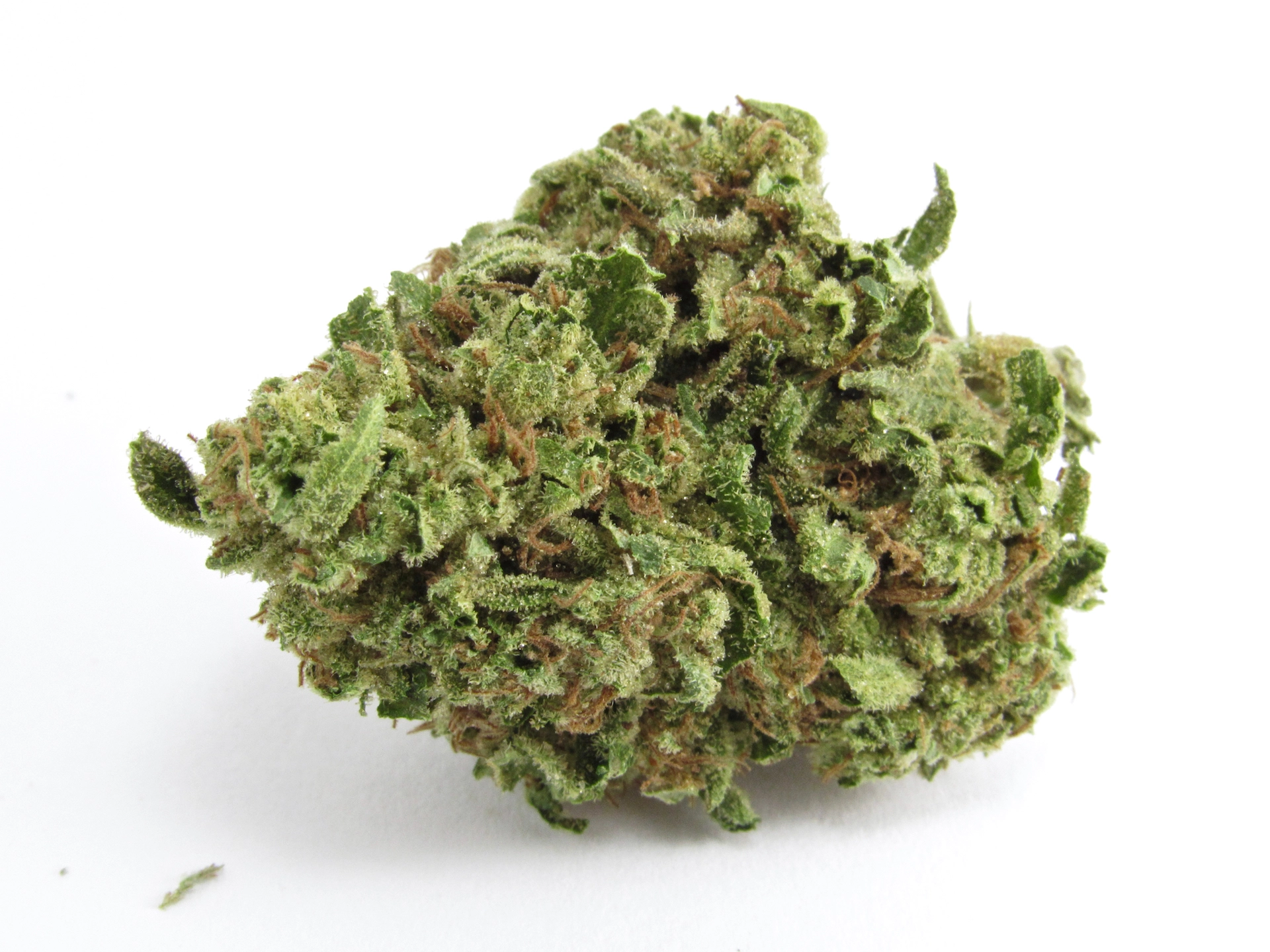 Chemdog #4 x Alien OG Kush