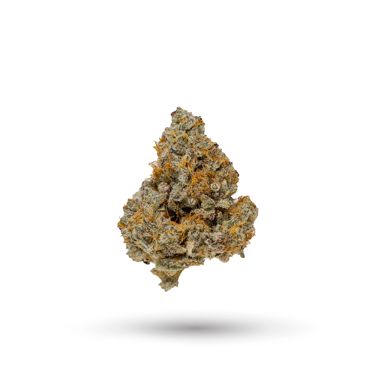 Colorado Creamsicle