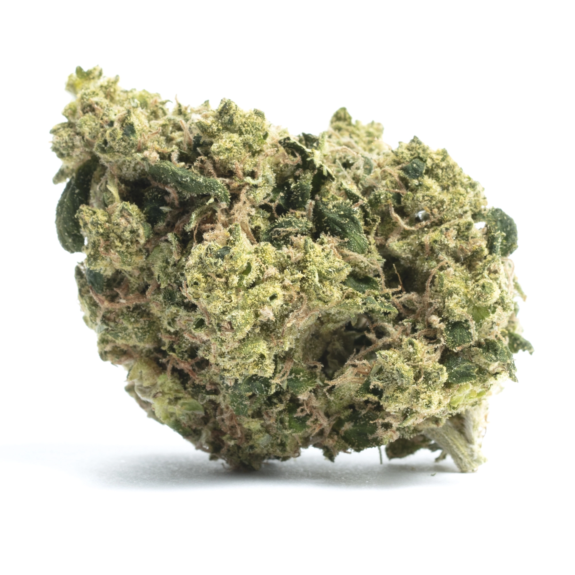 Critical Jack