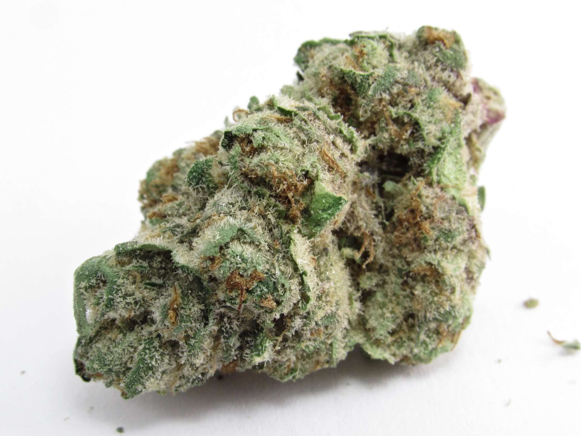 Dawg Breath