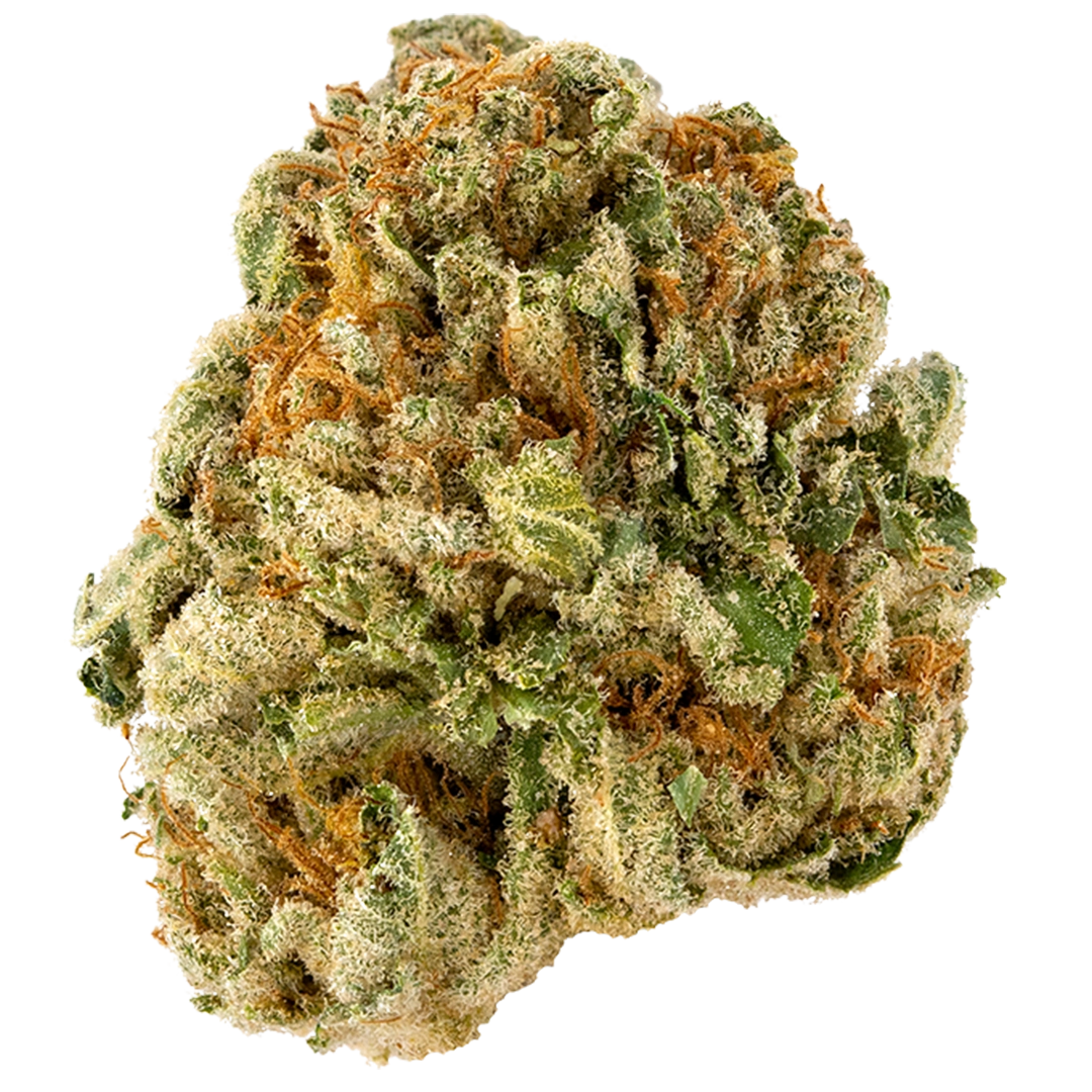 DG Cookies