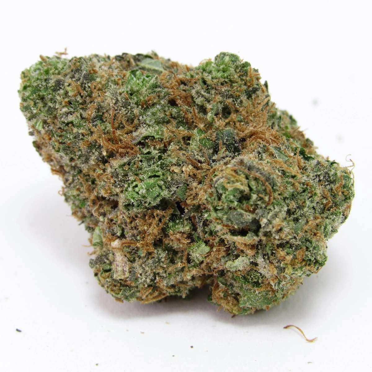 Grapefruit Zlushiez