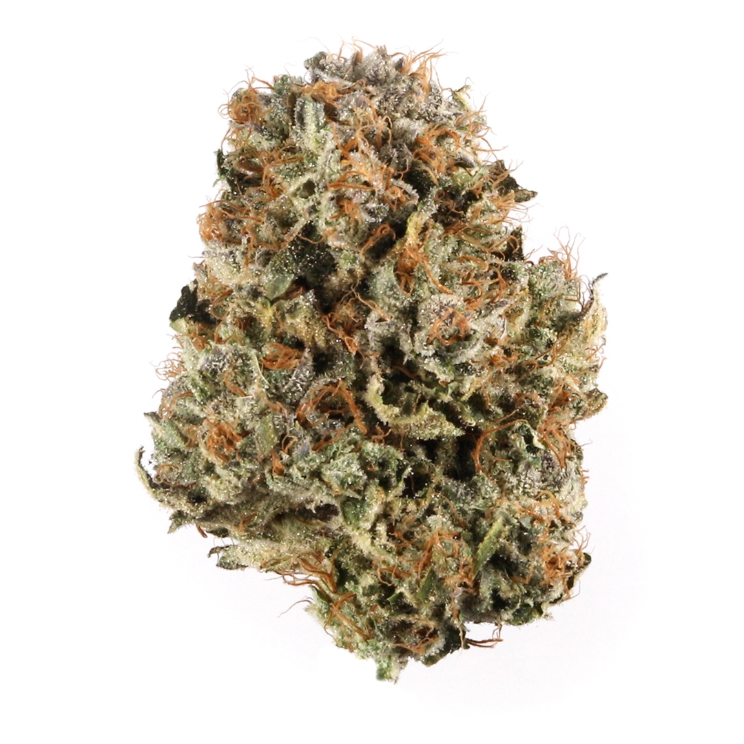 KO Kush