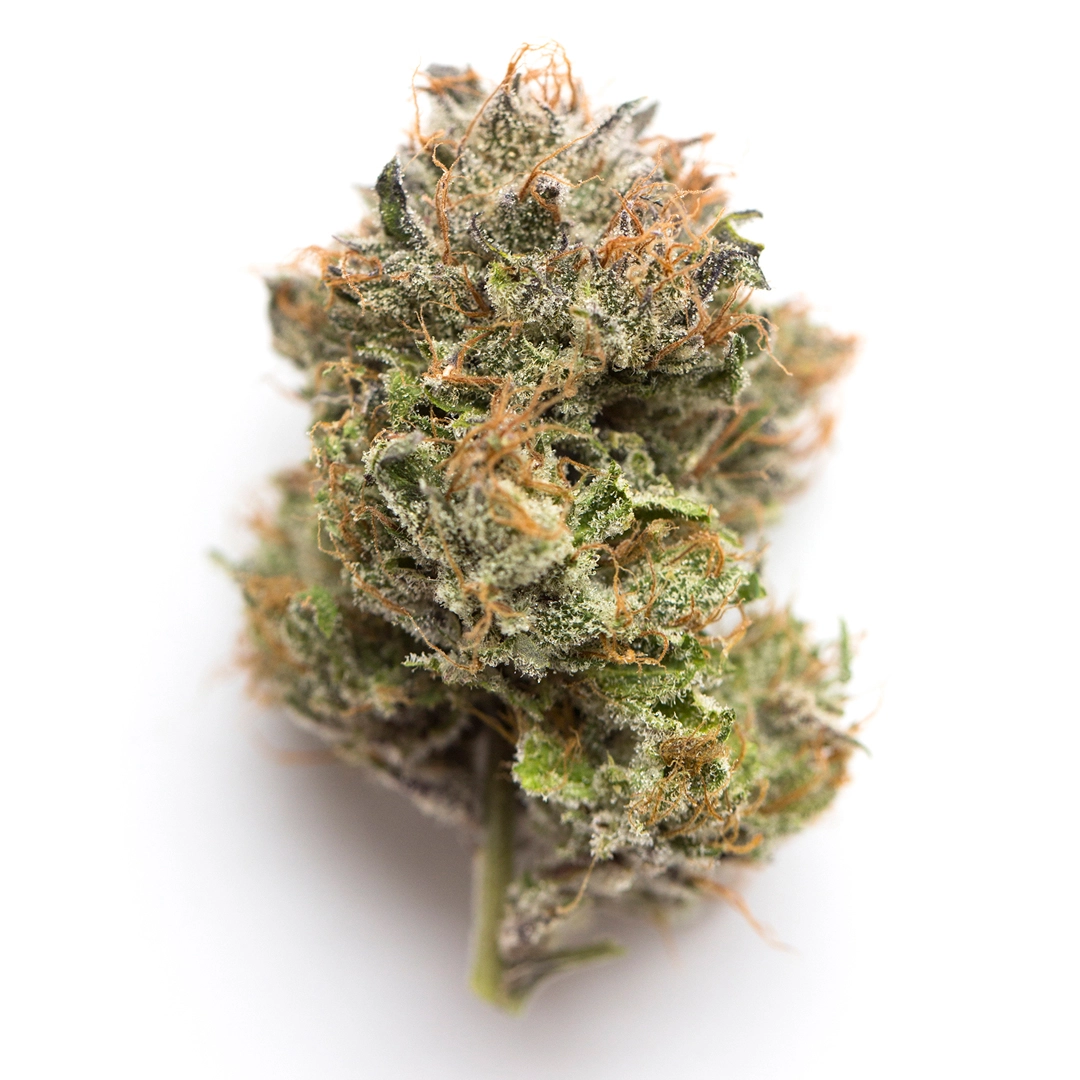 Krishna Kush