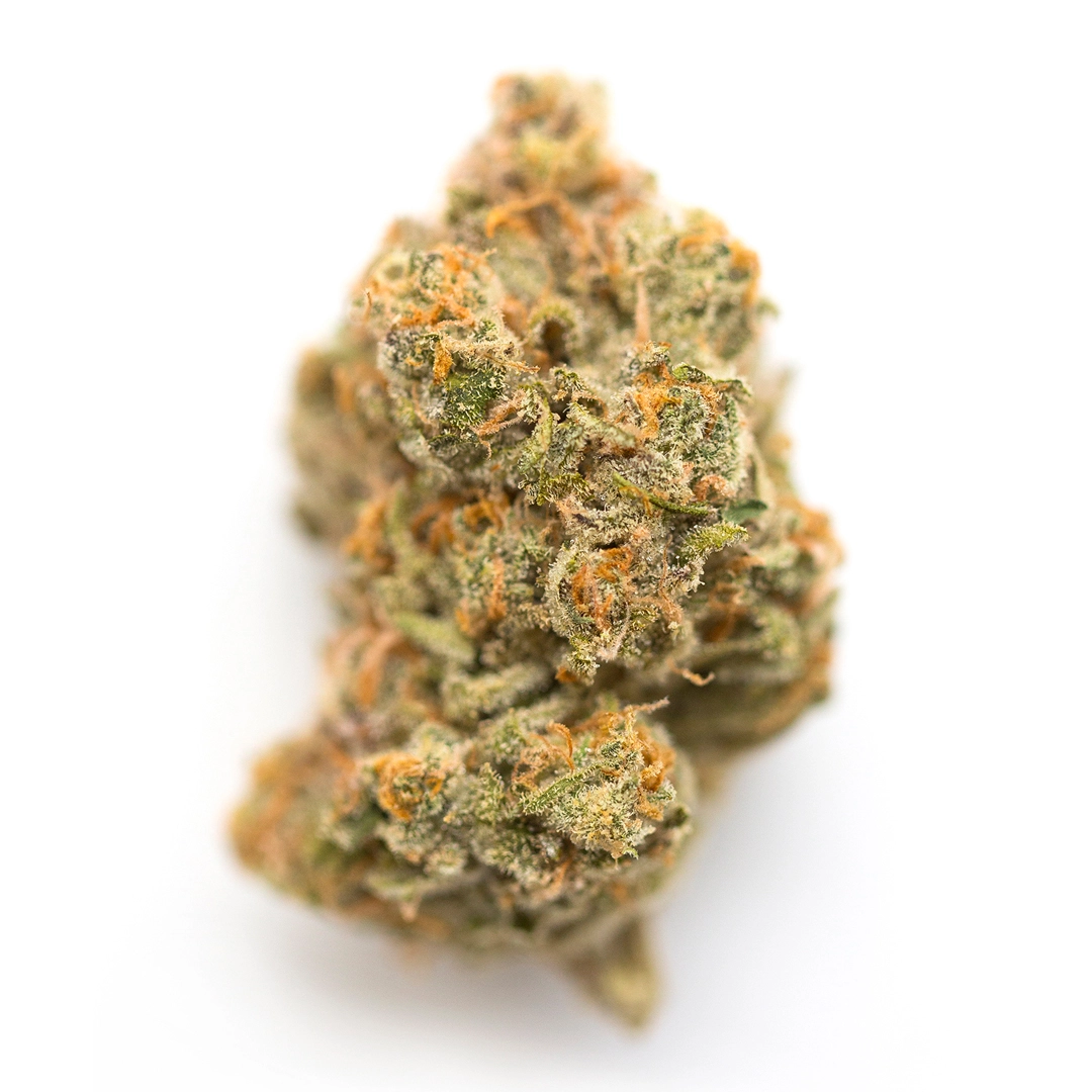 Kush Mountain