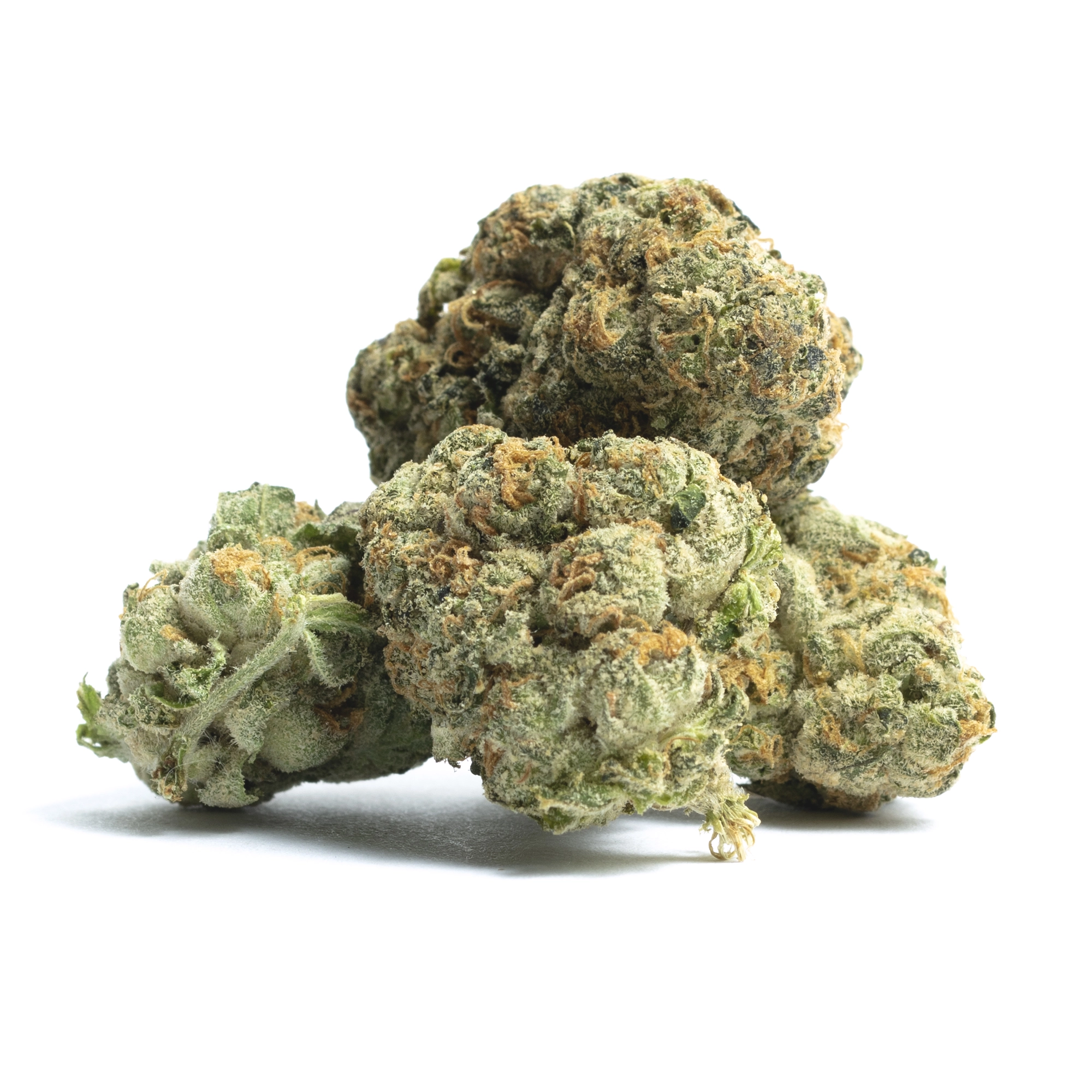 Mango Dream