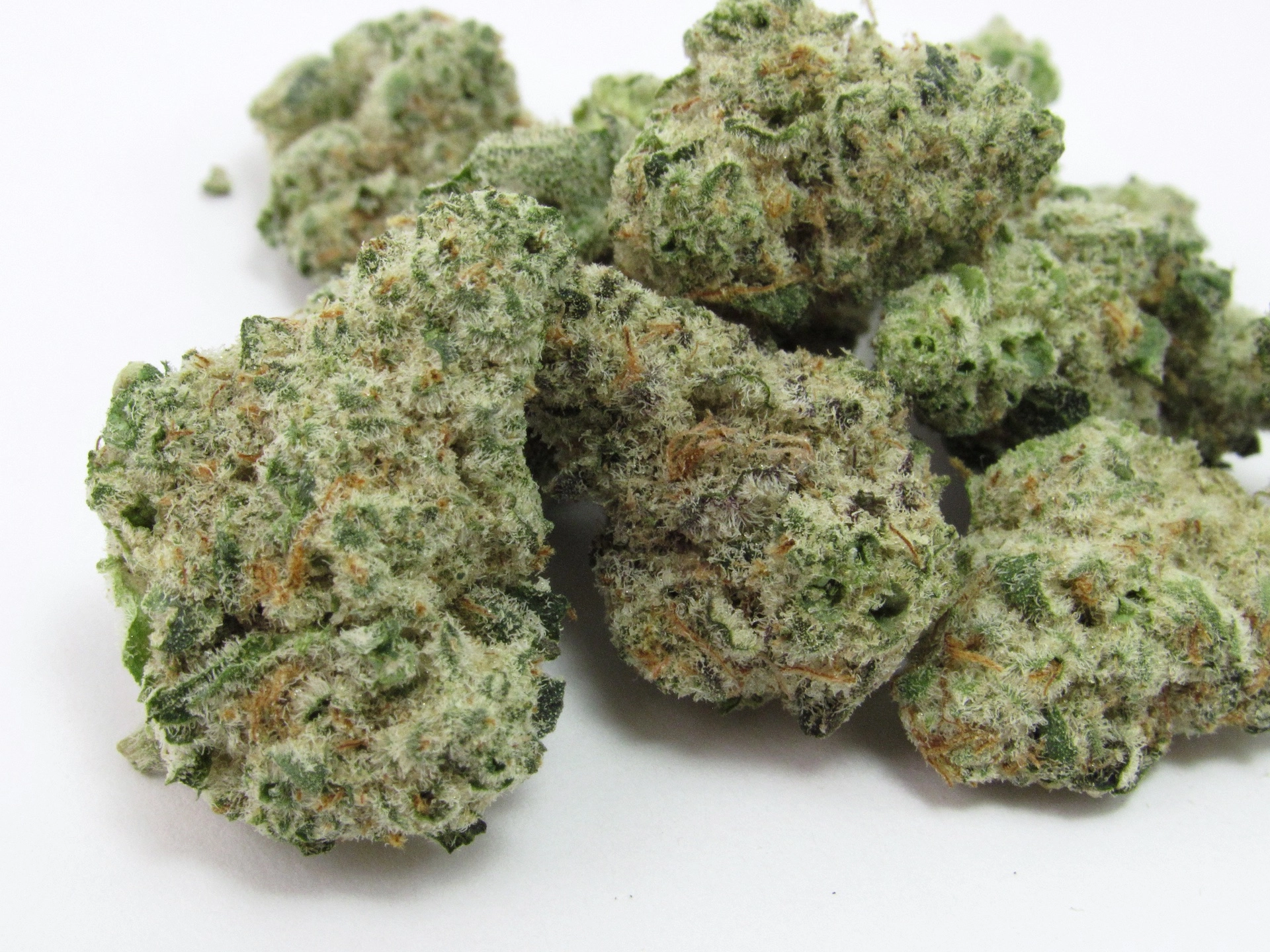Mango Fruz