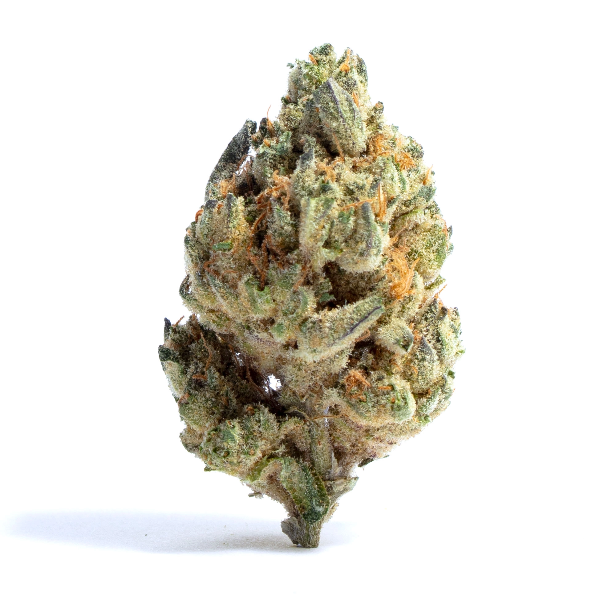 MediHaze