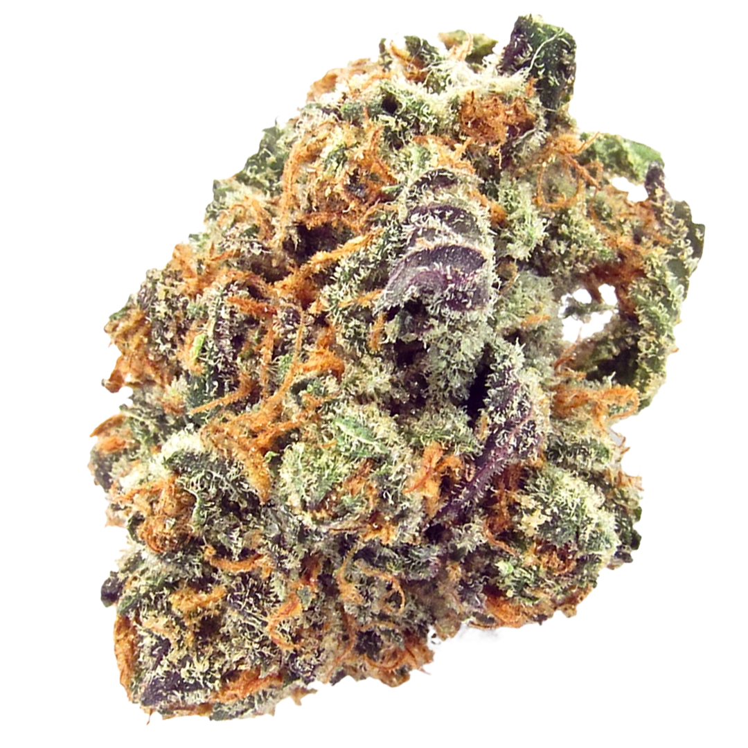 Mimosa