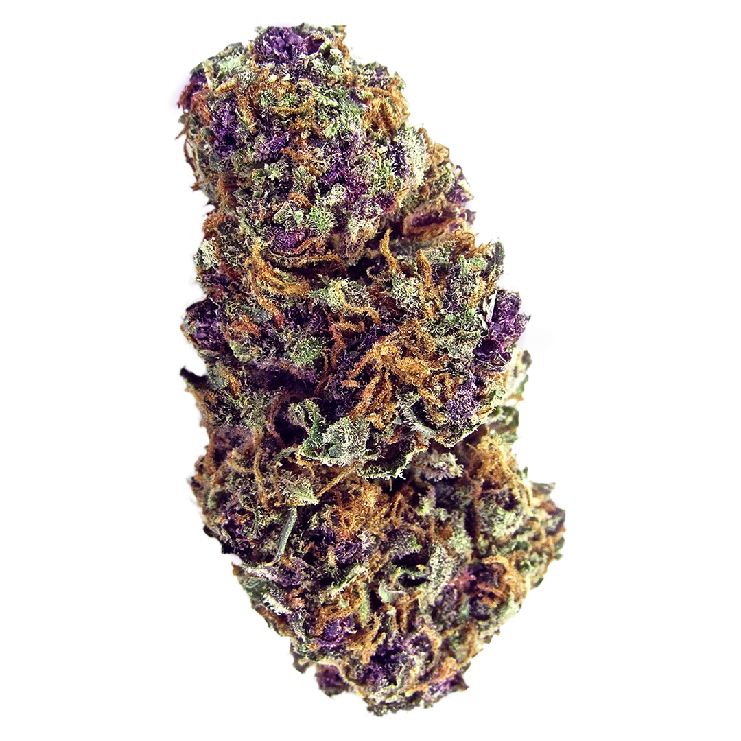 Purple Palm Tree Delight