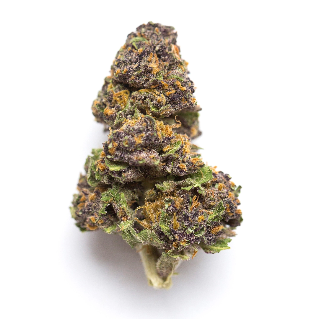 Purple Sage 