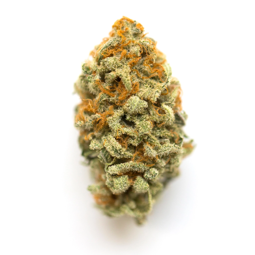 Satsuma