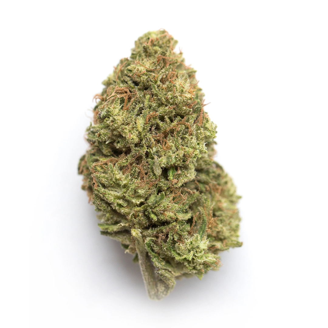 Savant's Grail