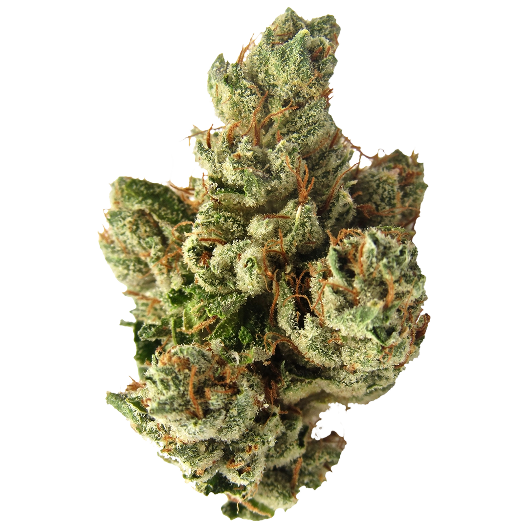 SFV OG