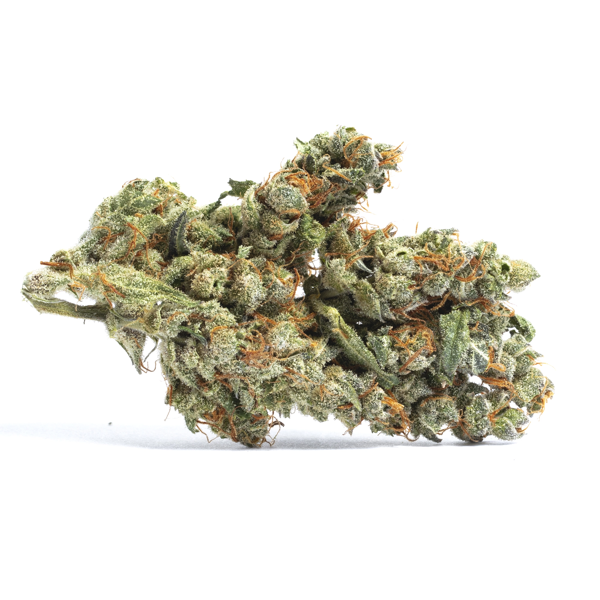 White Russian